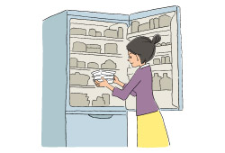 到着後はすぐに冷蔵庫へ!